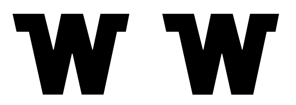 2026 Winnebago Access Side "W" Logos