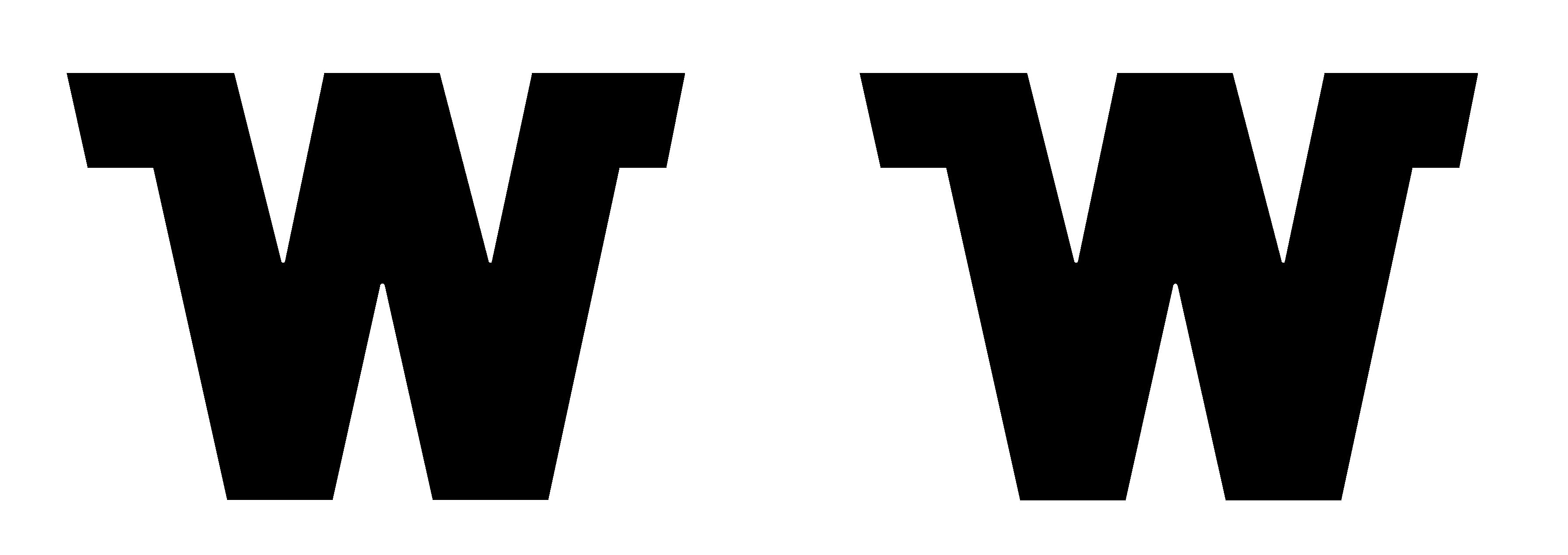 2026 Winnebago Access Side "W" Logos